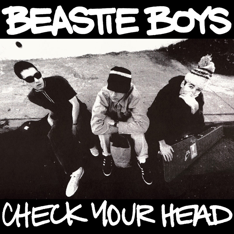 Eric Haze Beastie Boys Check your head cover